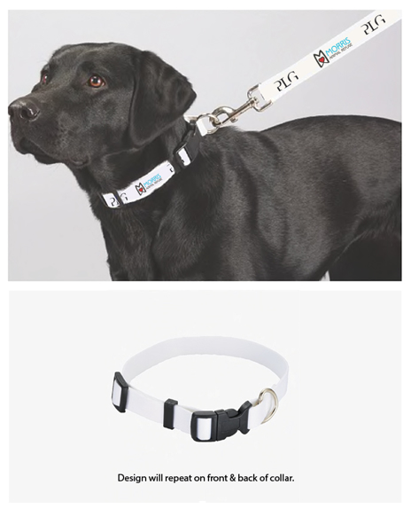 Picture of Full Color 3/4" Wide Pet Collar